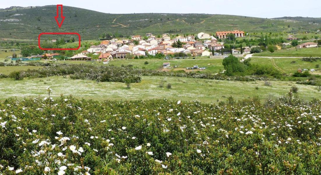 La Casa Del Ingles - Robledillo De La Jara Βίλα Εξωτερικό φωτογραφία
